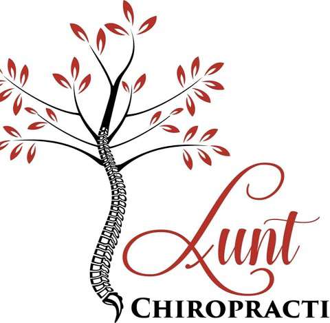 Jobs in Lunt Chiropractic PLLC - reviews